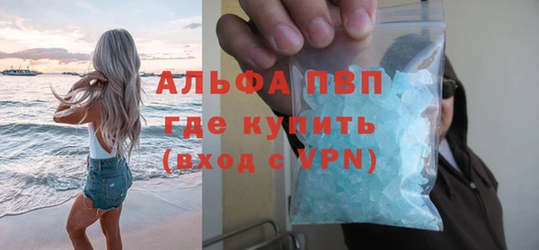 apvp Алзамай