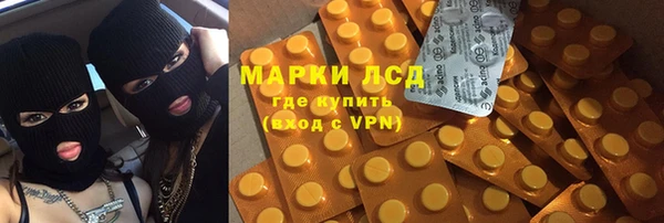 apvp Алзамай