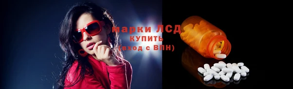 apvp Алзамай