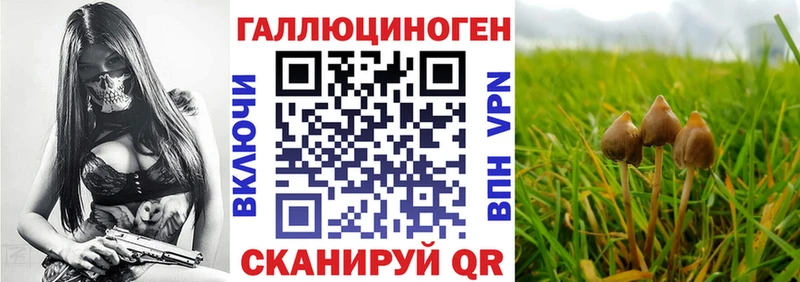 Псилоцибиновые грибы Magic Shrooms  где купить наркоту  Дмитров 