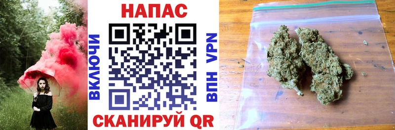 наркота  Дмитров  МАРИХУАНА White Widow 